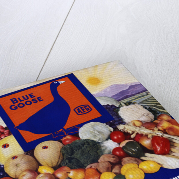 Blue Goose Poster by Anonymous