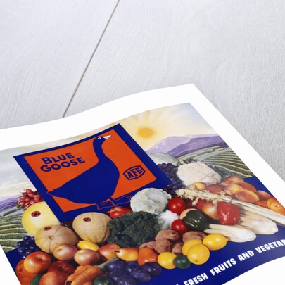 Blue Goose Poster by Anonymous