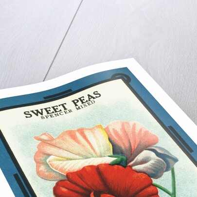 Sweet Peas Spencer Mixed Flower Seeds Package Label by Anonymous