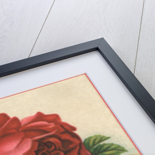 Button's Raven Gloss Shoe Dressing Trade Card by Anonymous