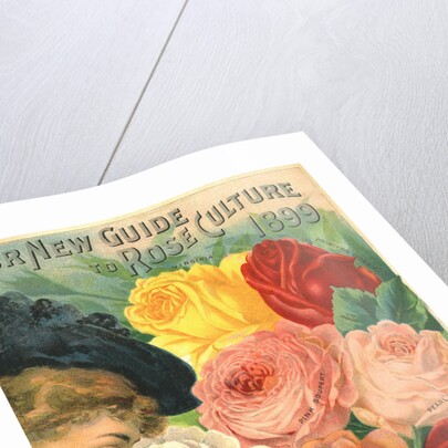 Our New Guide to Rose Culture, 1899 Catalog Cover for The Dingee & Conard Co. by Anonymous