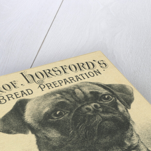 Prof. Horsford's Baking Powder Trade Card by Anonymous