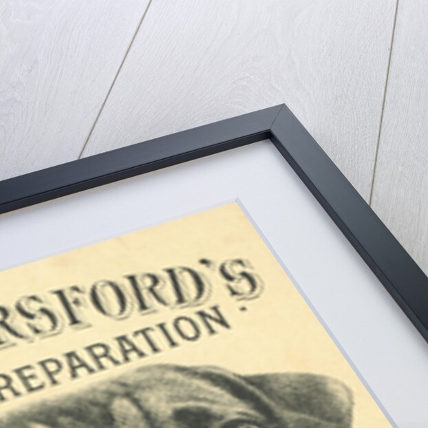 Prof. Horsford's Baking Powder Trade Card by Anonymous