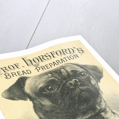 Prof. Horsford's Baking Powder Trade Card by Anonymous