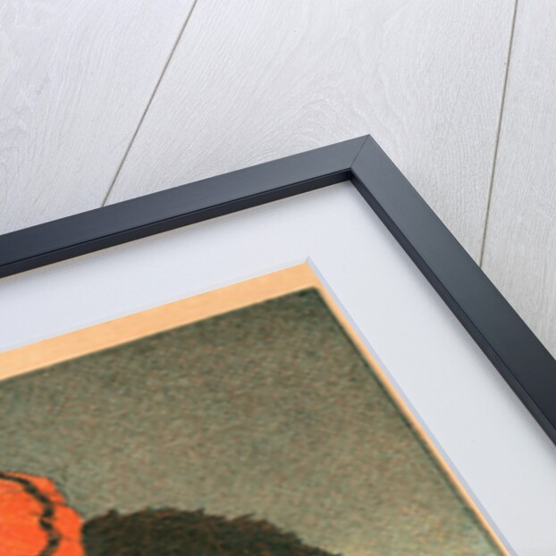 Warner's Safe Cure Trade Card with a St. Bernard and Child by Anonymous