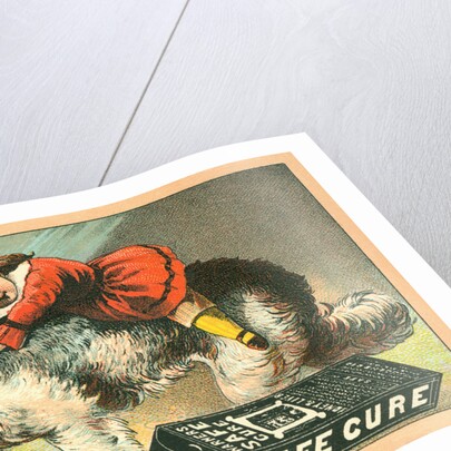 Warner's Safe Cure Trade Card with a St. Bernard and Child by Anonymous