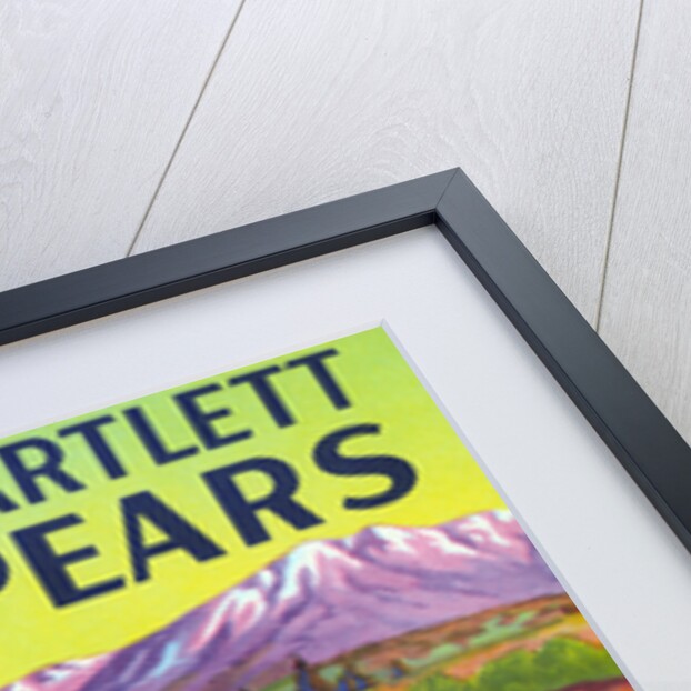 Life Brand Bartlett Pears Fruit Crate Label by Anonymous