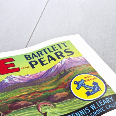 Life Brand Bartlett Pears Fruit Crate Label by Anonymous