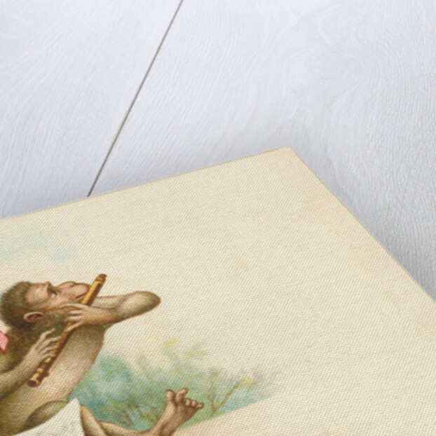 Victorian Postcard of Monkey Musicians by Anonymous