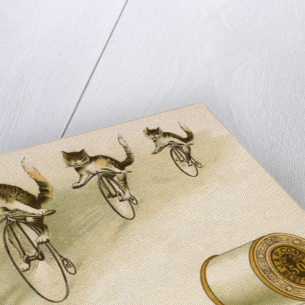J&P. Coats Trade Card with Cats Bicycling by Anonymous