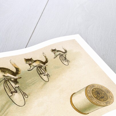 J&P. Coats Trade Card with Cats Bicycling by Anonymous