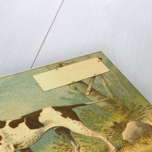 Trade Card of a Hound Dog in the Forest by Anonymous