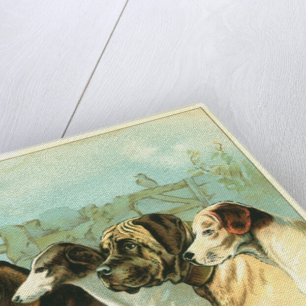 Trade Card with the Profiles of Five Different Dog Breeds by Anonymous