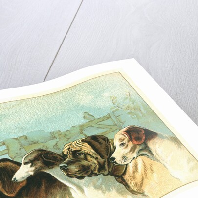 Trade Card with the Profiles of Five Different Dog Breeds by Anonymous