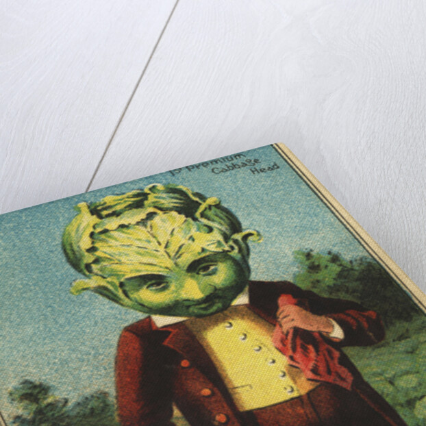 1st Premium Cabbage Head Trade Card by Anonymous