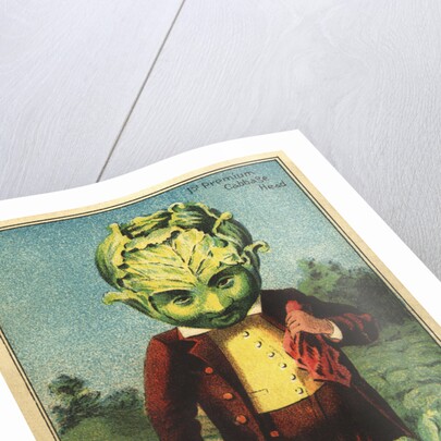 1st Premium Cabbage Head Trade Card by Anonymous