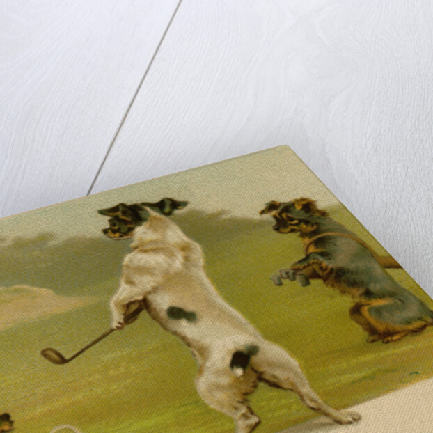 Postcard of Dogs Golfing by Anonymous