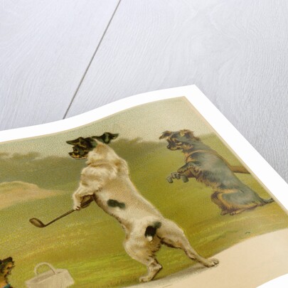 Postcard of Dogs Golfing by Anonymous