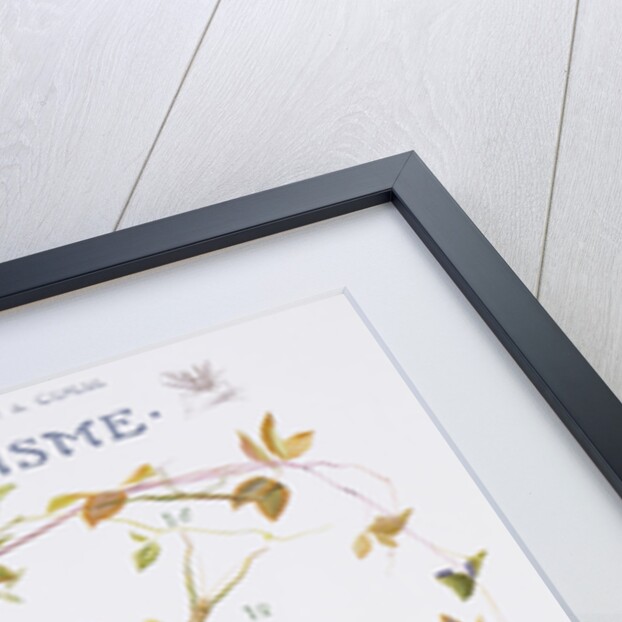 Mimetisme Educational Poster by P. Mery
