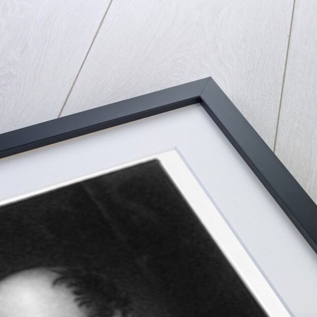 Levi Woodbury by Robert E. Whitechurch