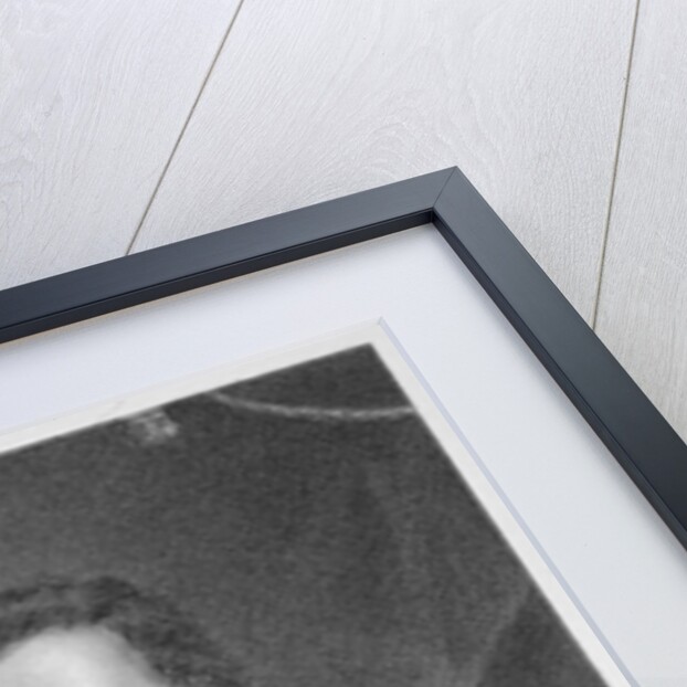 Edward Livingston by Edward Wellmore