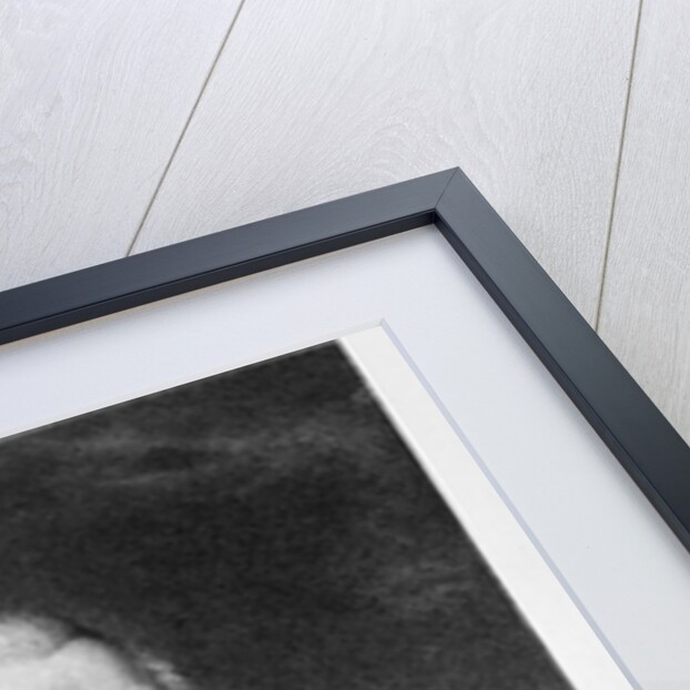 Portrait Engraving of Major General Arthur St. Clair by Anonymous