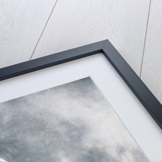 Aerial Combat on the Western Front, WWI Photogravure by Anonymous