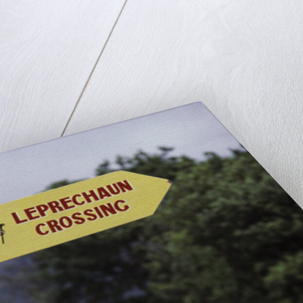 Leprechaun Crossing Sign by Anonymous