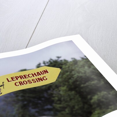 Leprechaun Crossing Sign by Anonymous