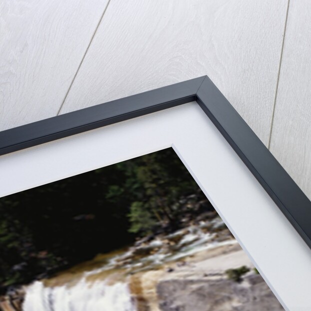 View from the Top of Vernal Falls by Anonymous