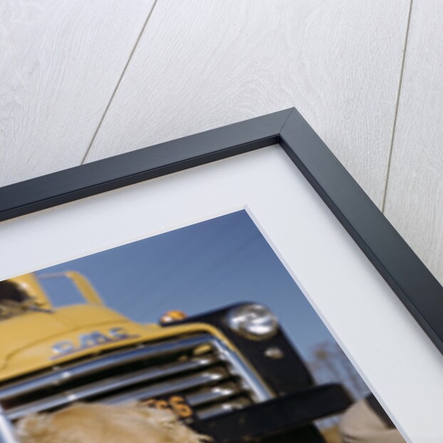 Faithful Dog Watching Boy Enter School Bus by Anonymous