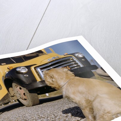Faithful Dog Watching Boy Enter School Bus by Anonymous