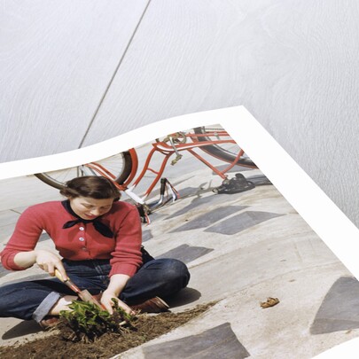 Woman Gardening by Anonymous