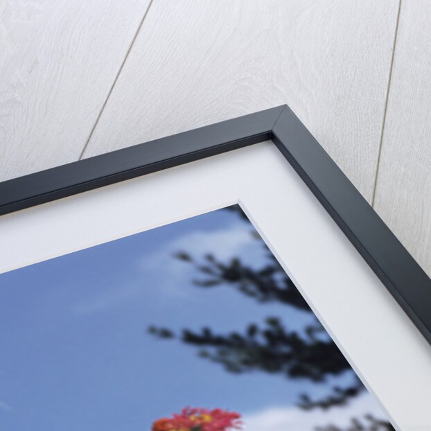 Girl Holding Cut Flowers by Anonymous