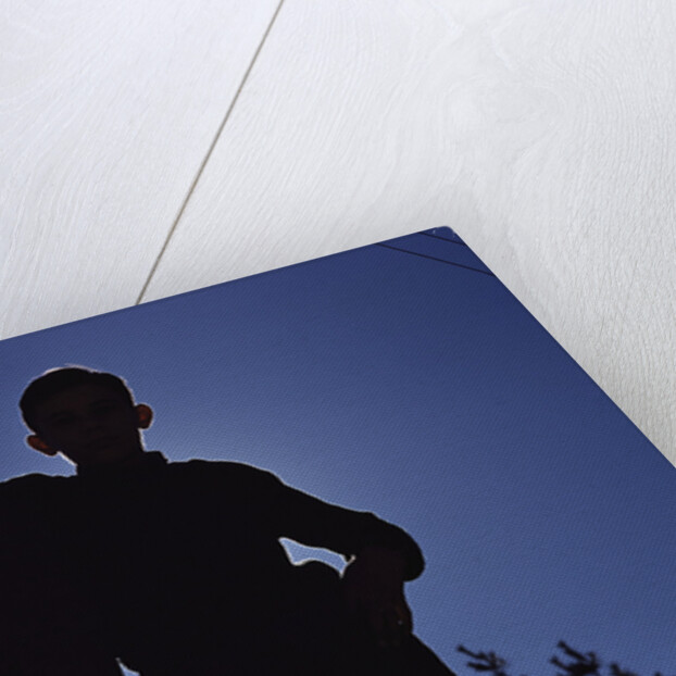 Silhouette of Boy Leaning Against Fence by Anonymous