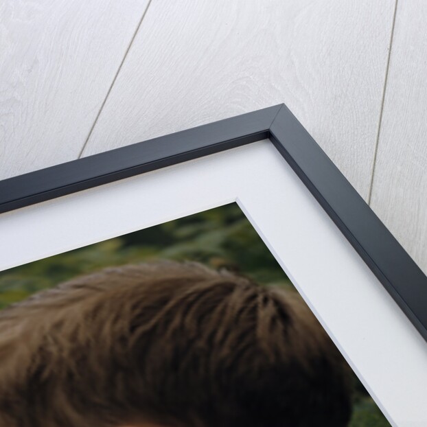 Boy Picking Raspberries by Anonymous