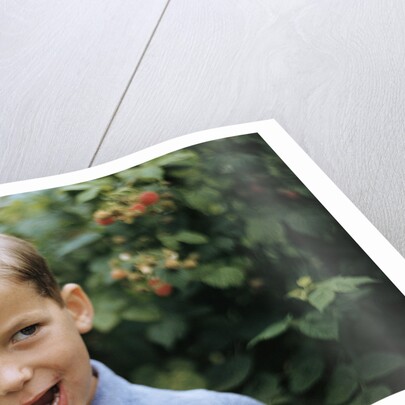 Boy Eating a Raspberry by Anonymous