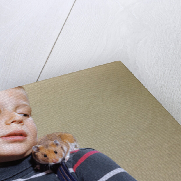 Hamster on Boy's Shoulder by Anonymous
