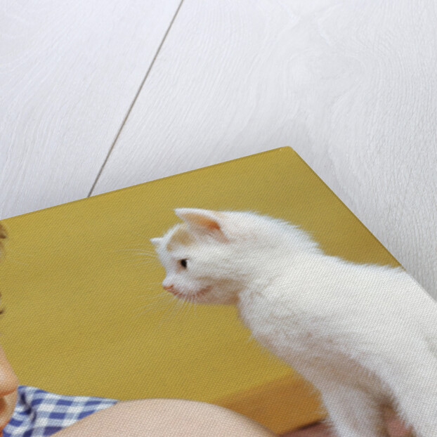 Boy Looking at White Kitten by Anonymous