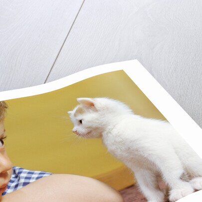 Boy Looking at White Kitten by Anonymous