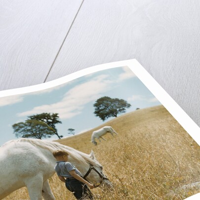 Boy Standing with Horse in a Field by Anonymous