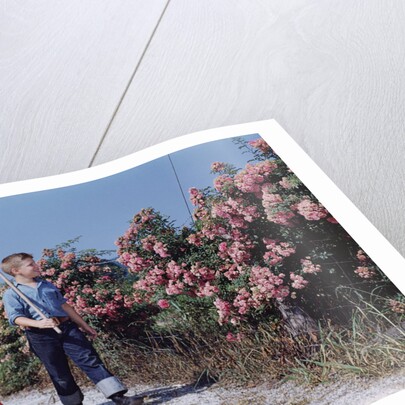 Children Walking Along Gravel Road by Anonymous