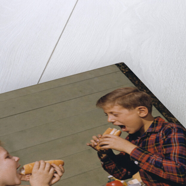 Boys Eating Hot Dogs by Corbis