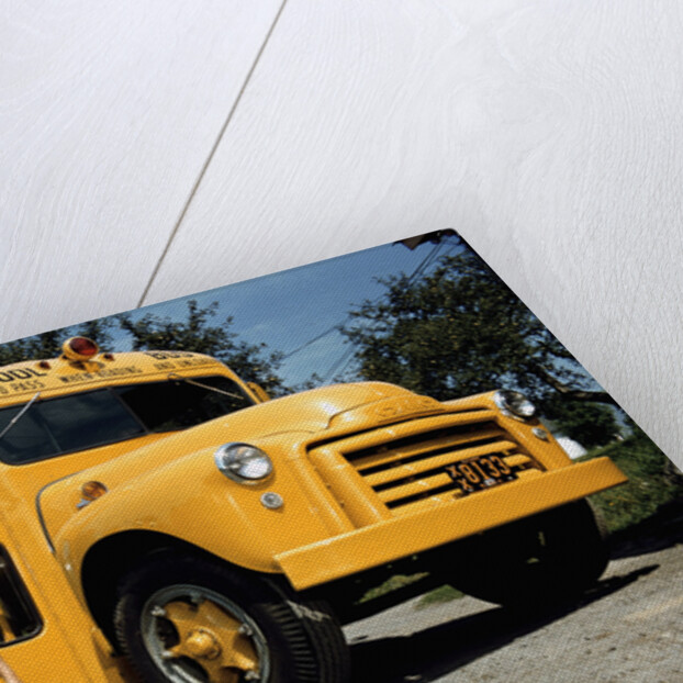 School Bus Dropping off Child at Home by Anonymous
