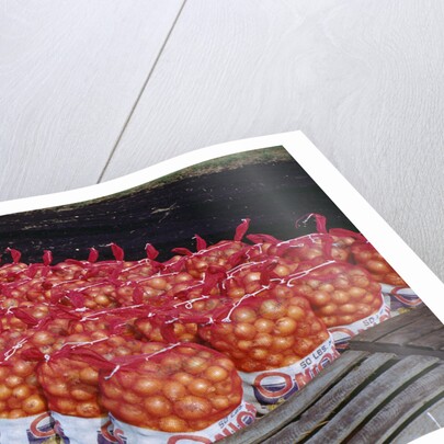 Onion Sacks on Field by Anonymous