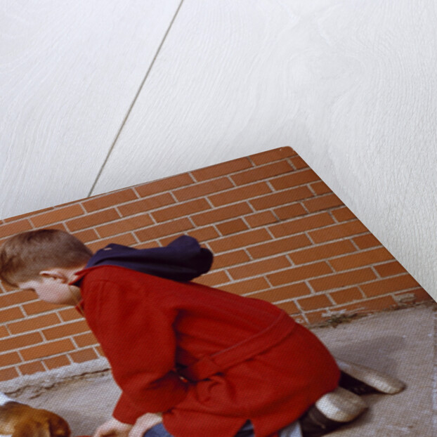 Boy Feeding Dog on Sidewalk by Anonymous