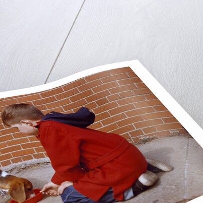 Boy Feeding Dog on Sidewalk by Anonymous