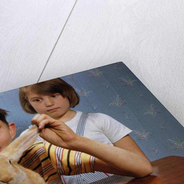Annoying Brother Playing With His Sister's Pet Rabbit by Anonymous