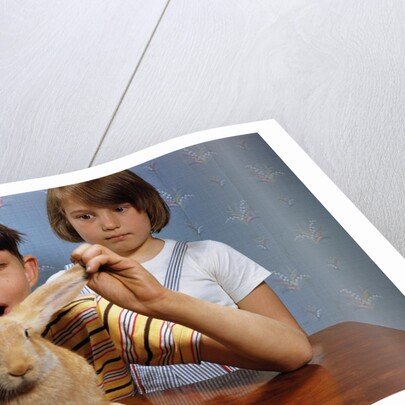 Annoying Brother Playing With His Sister's Pet Rabbit by Anonymous