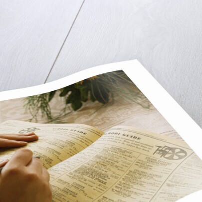 Using Telephone Book by Anonymous